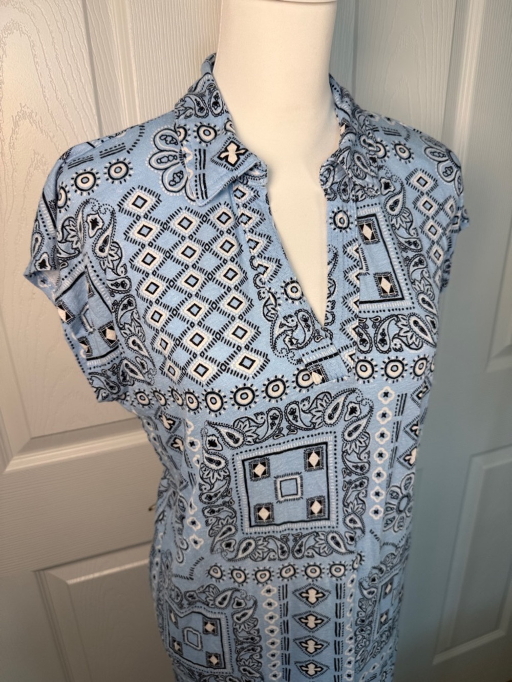 Rachel Zoe Pale Blue Paisley Bandana dress